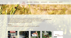 Desktop Screenshot of oelsinger.at